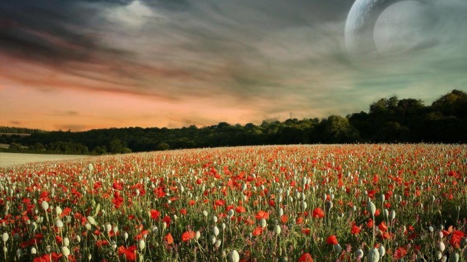 你身边身材最好的女生是什么样？